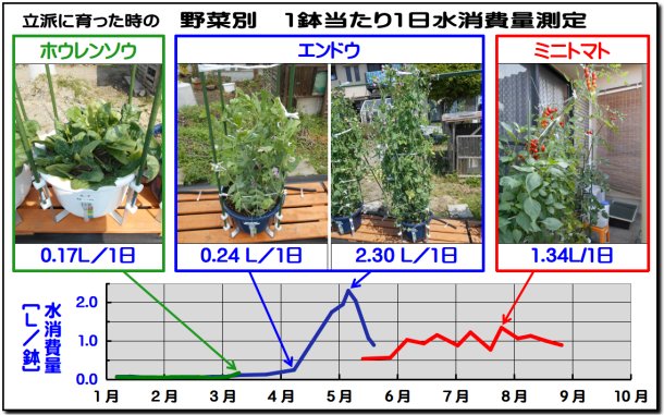 留守時の水やりに困る しぜんみち