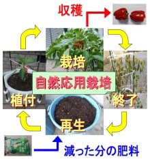 ɂ鎩Rp͔|TCN